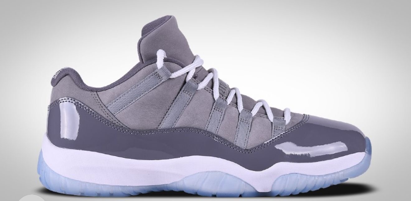 Jordan Retro 11 Gris